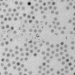 Iron oxide nanoparticles powder
