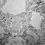 Cadmium Selenide Nanorods