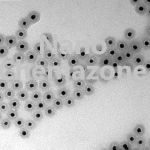 Au TiO2 Core Shell Nanoparticles