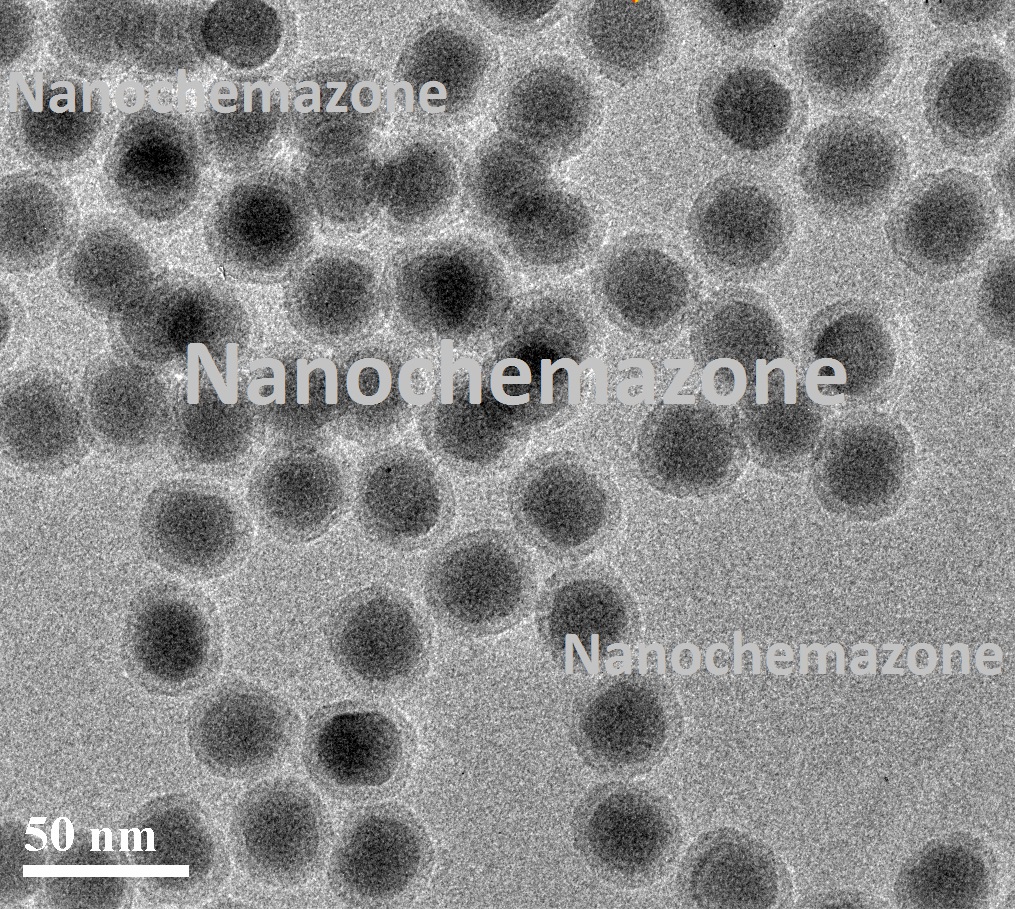 PEG Modified Upconverting Nanoparticles 2 PEG Modified Upconverting Nanoparticles