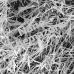 Lead Titanate Nanowires