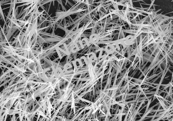 Lead Titanate Nanowires 1 Lead Titanate Nanowires