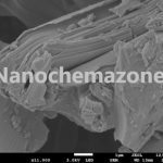 Ta4C3 MXene Powder in Nano & Micro Size
