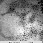 Polyhydroxylated Fullerene Dispersion